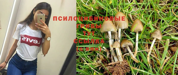 MESCALINE Белоозёрский