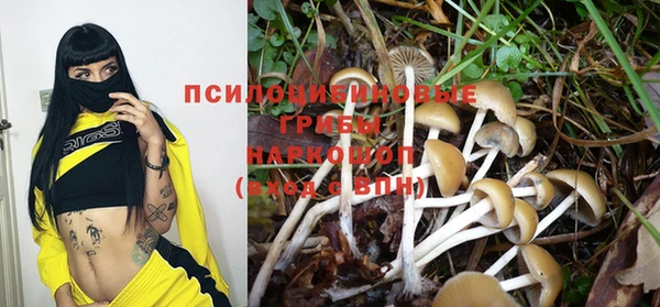 мдпв Беломорск