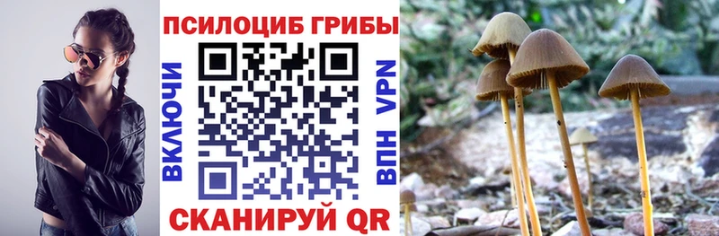 blacksprut сайт  Ясногорск  Галлюциногенные грибы MAGIC MUSHROOMS 